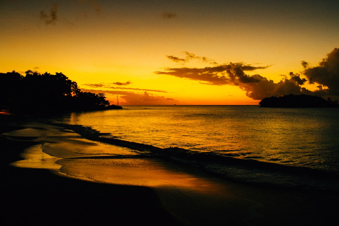 Bar animé de Rodney Bay le soir