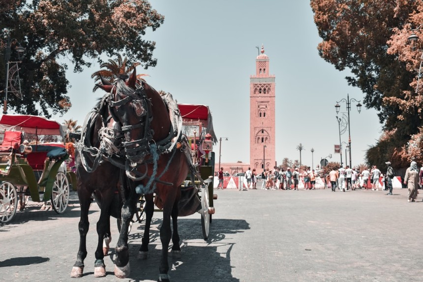 Médina colorée de Marrakech au printemps