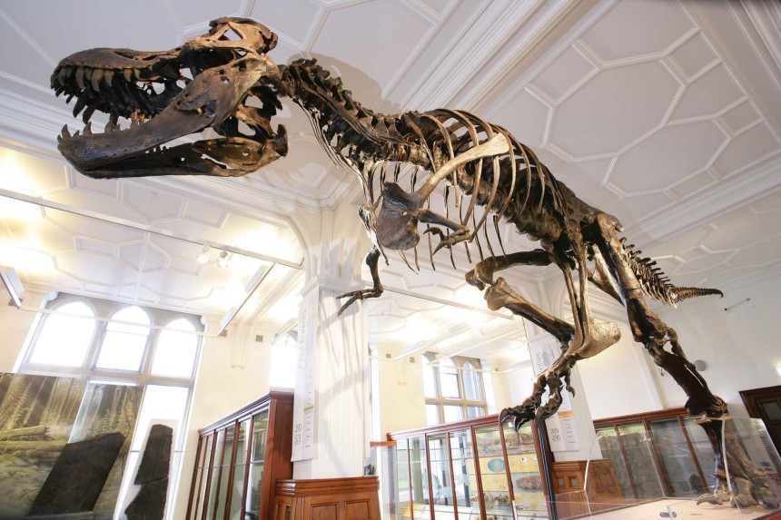 Musée de Manchester