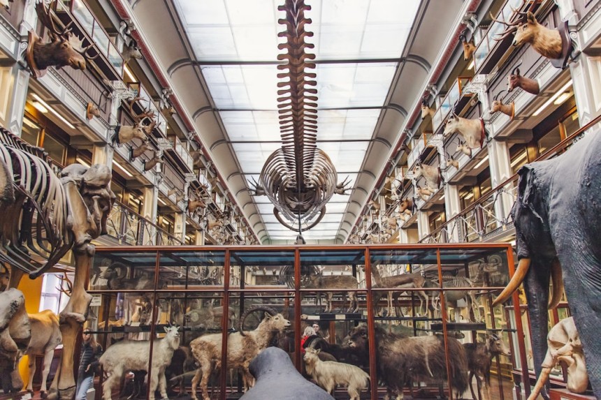 Musée national d'Irlande