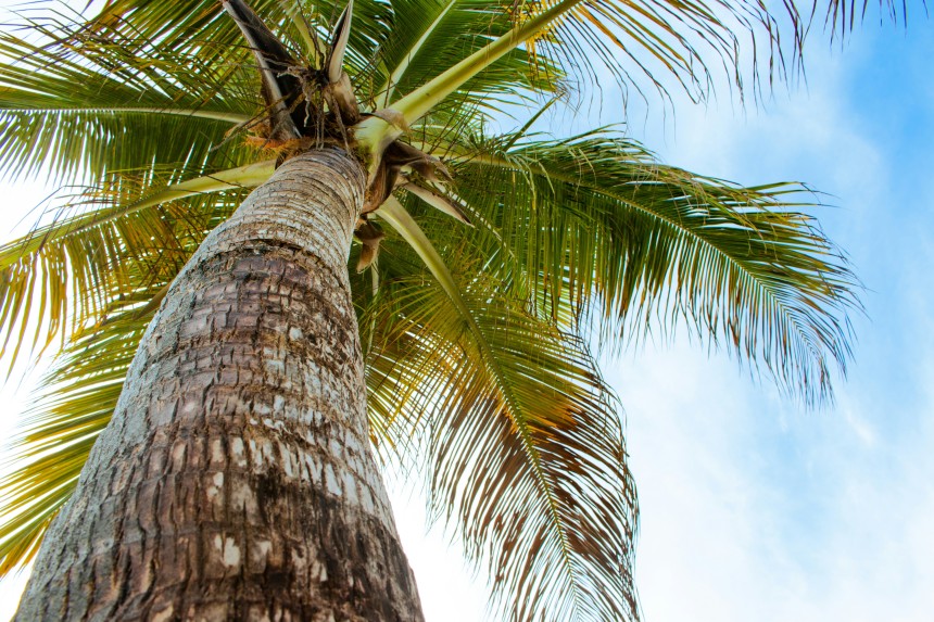 Vue panoramique de Nukuʻalofa avec la mer turquoise