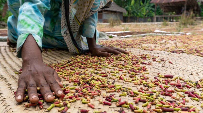 Épices de Zanzibar